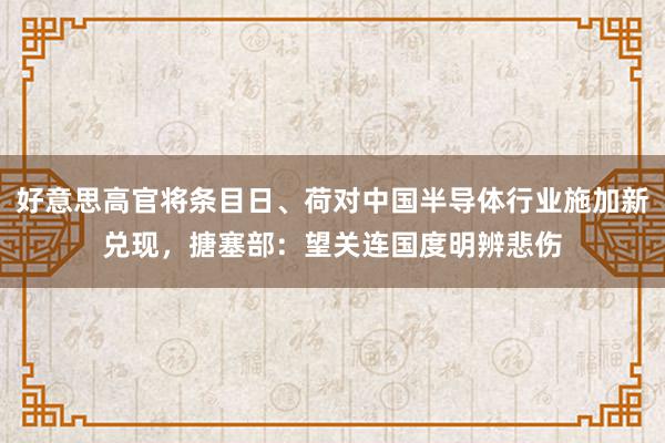 好意思高官将条目日、荷对中国半导体行业施加新兑现，搪塞部：望关连国度明辨悲伤