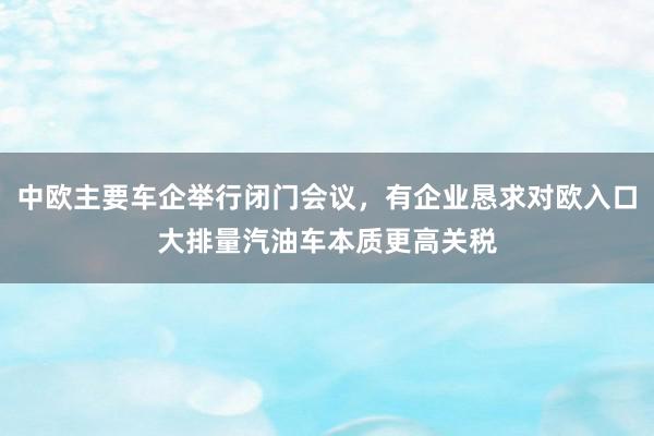 中欧主要车企举行闭门会议，有企业恳求对欧入口大排量汽油车本质更高关税