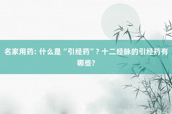 名家用药: 什么是“引经药”? 十二经脉的引经药有哪些?