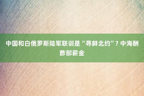 中国和白俄罗斯陆军联训是“寻衅北约”? 中海酬酢部薪金