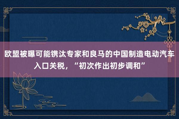 欧盟被曝可能镌汰专家和良马的中国制造电动汽车入口关税，“初次作出初步调和”