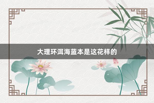 大理环洱海蓝本是这花样的